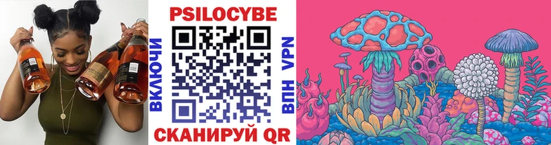 цена   Лахденпохья  Псилоцибиновые грибы Psilocybe 
